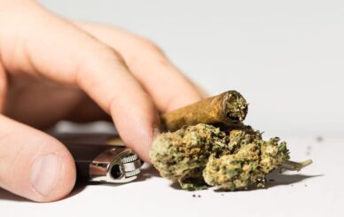 10 Indicators It May Be Time for a Break from Cannabis