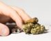 10 Indicators It May Be Time for a Break from Cannabis