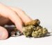 10 Indicators It May Be Time for a Break from Cannabis